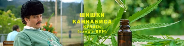 шишки Костерёво
