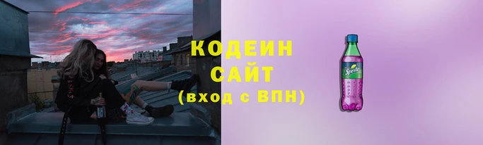 шишки Костерёво