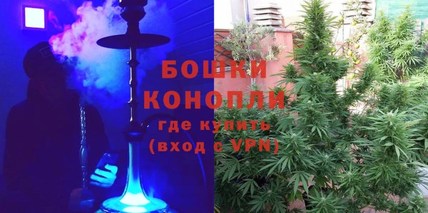 мяу мяу мука Кодинск
