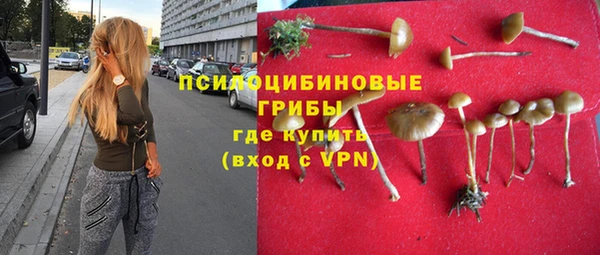 мяу мяу мука Кодинск