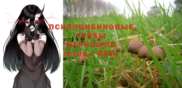 мяу мяу мука Кодинск