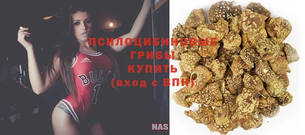 твердый Козловка