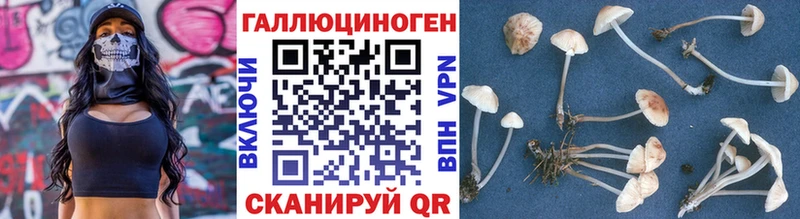 Псилоцибиновые грибы Cubensis  Никольск 